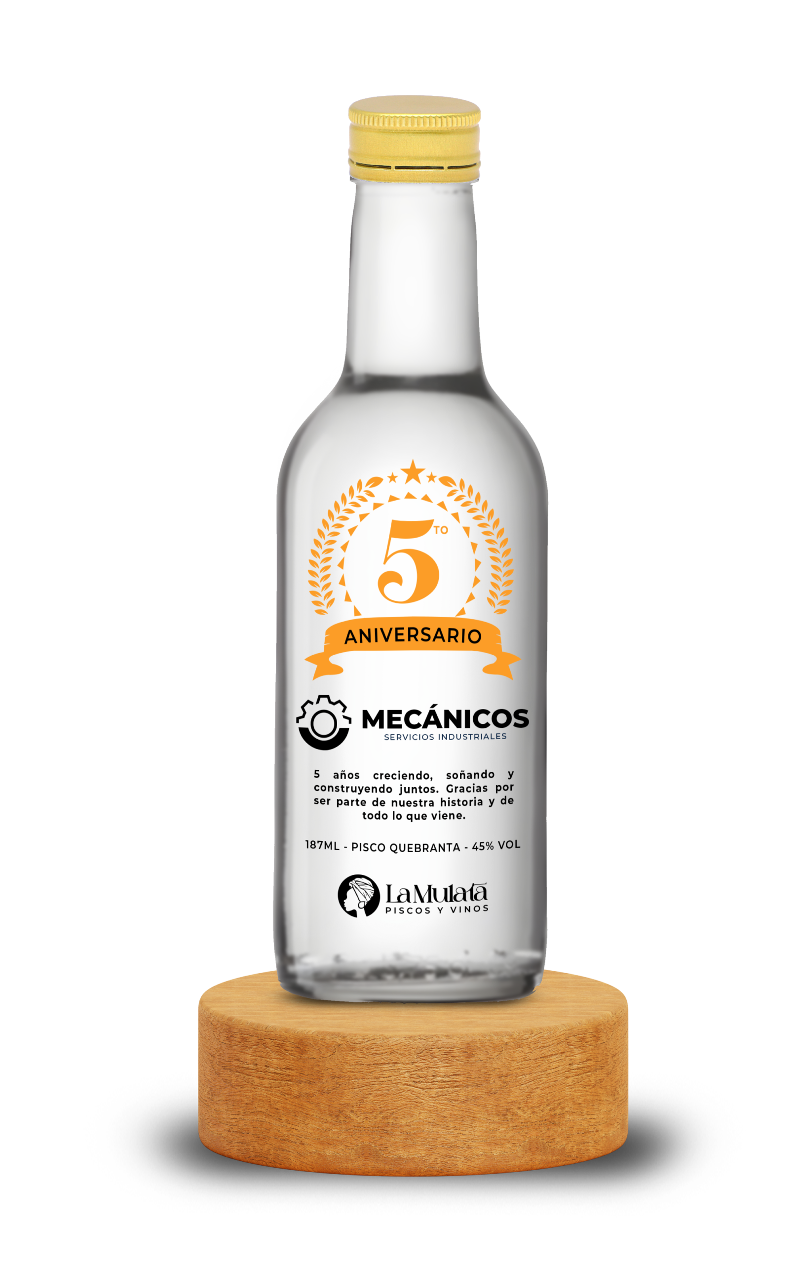 CORPORATIVO-SLIDE-PRINCIPAL-PISCO-PERSONALIZADO